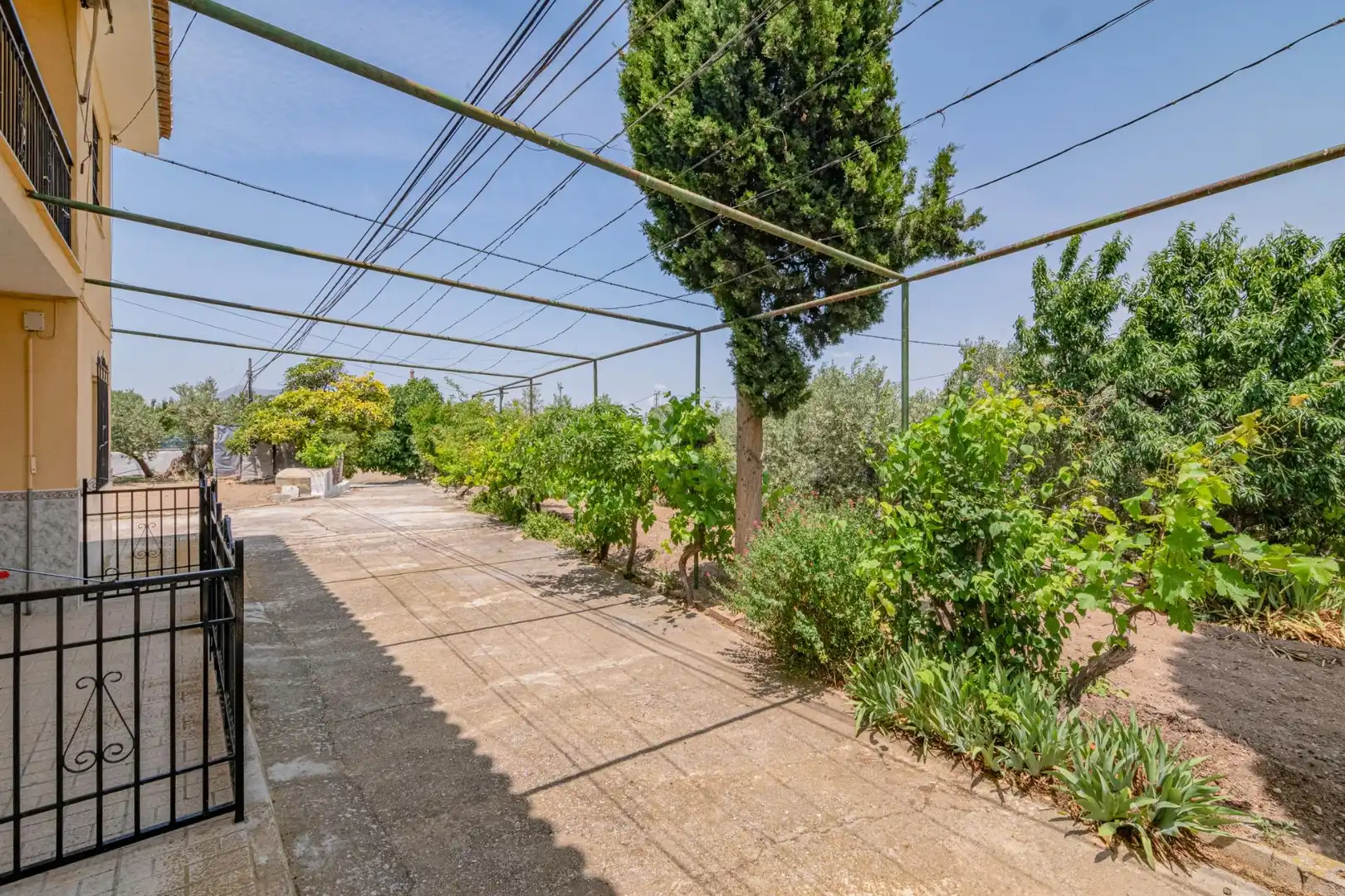 Terrassa de Casa o xalet en venda en Baza amb Aire condicionat, Calefacció i Jardí privat