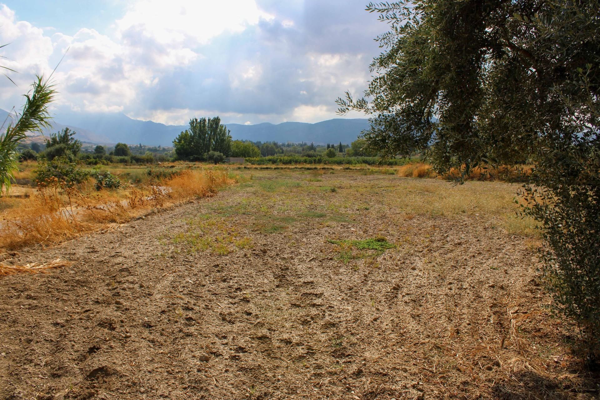 Finca rústica en venda en Villa de Otura