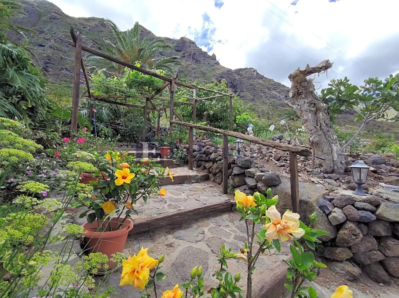 Country homes for sale in Buenavista del Norte