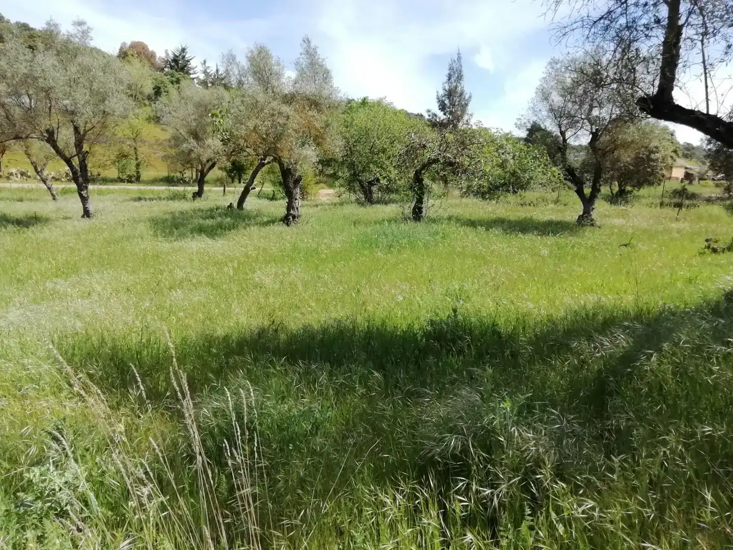 Terreno en venta en Cumbres Mayores, Huelva