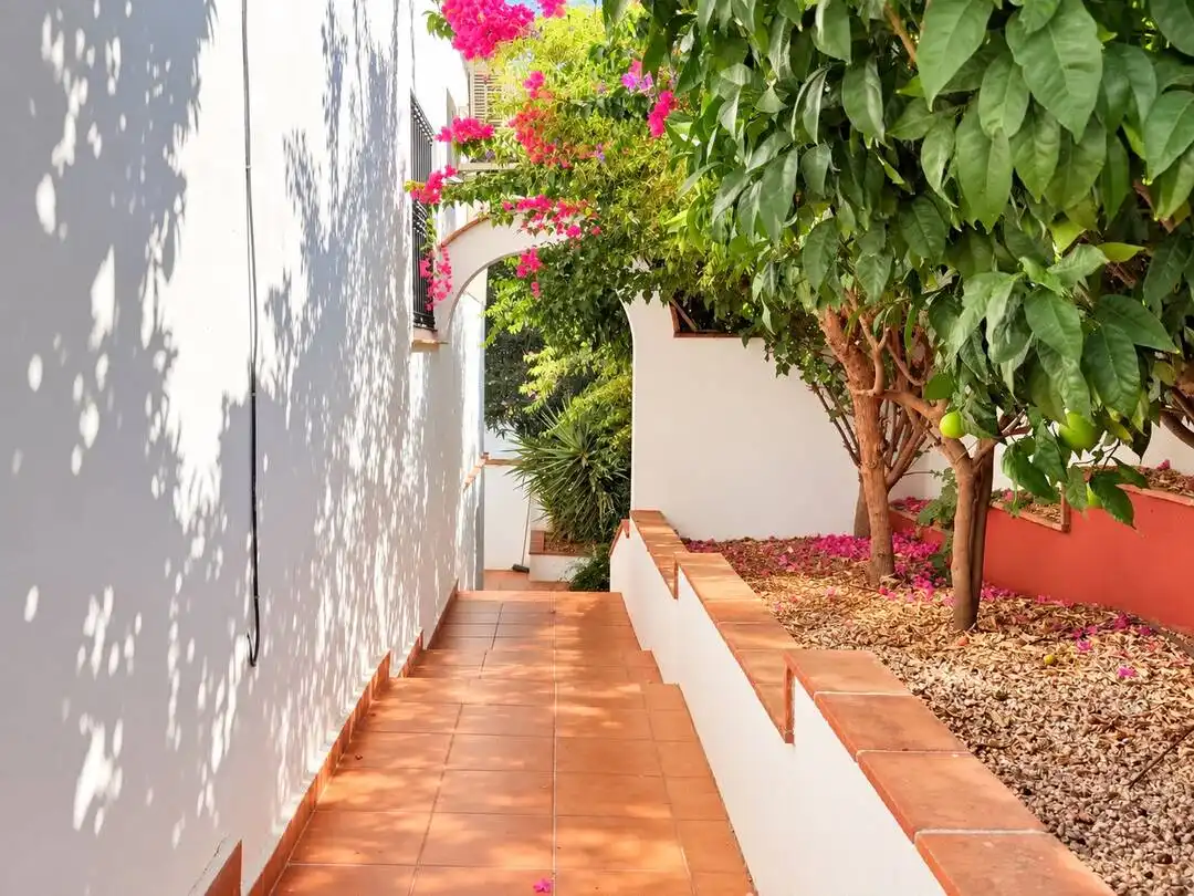 Maison avec terrasse à vendre à Calle Ruisenor 1, imagen 12