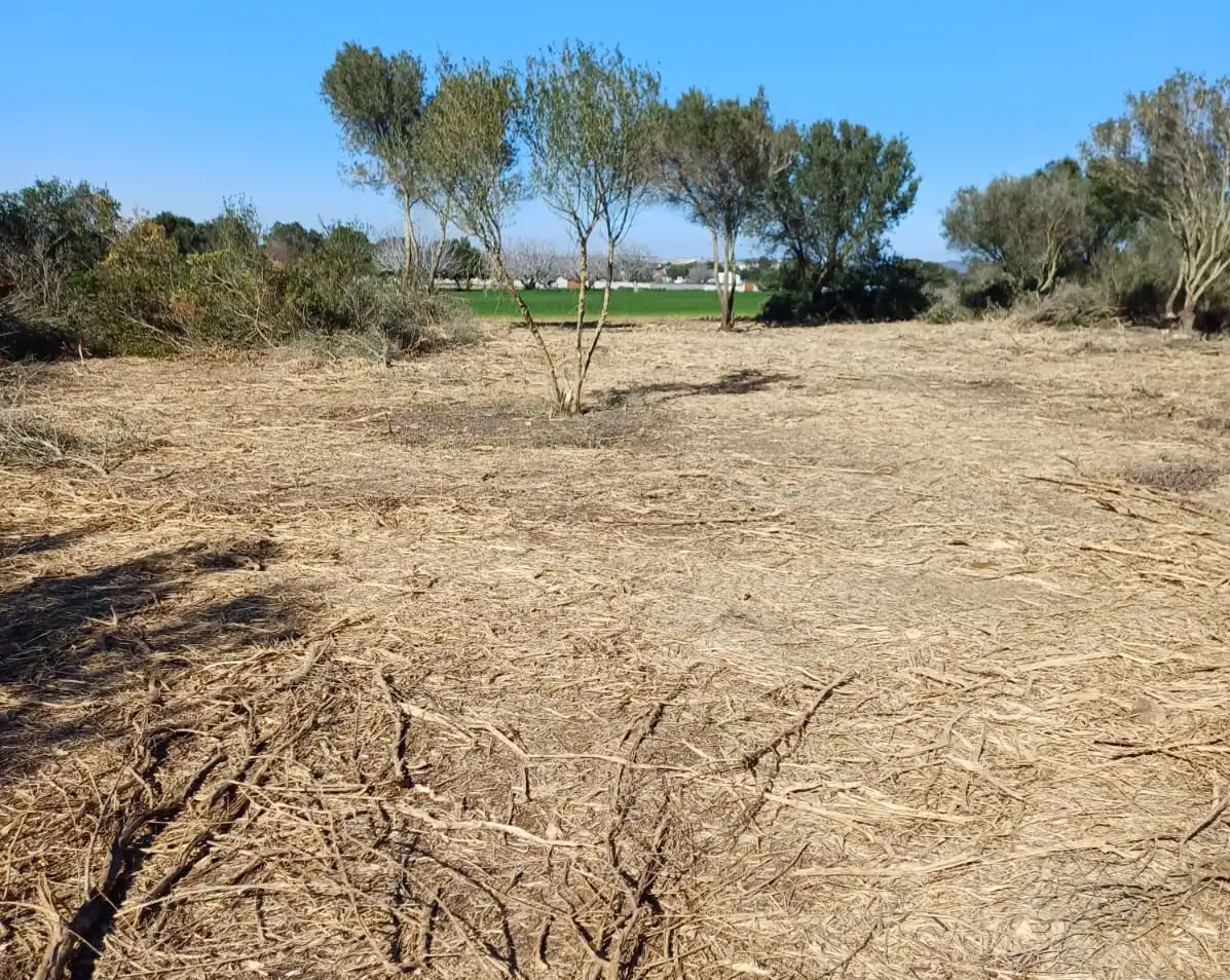 Terrenys i solars en venda a Pelagatos - Pago del Humo, imagen 3