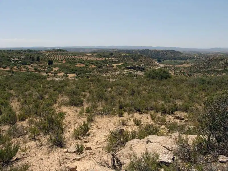 Finca rústica en venta en Alcañiz