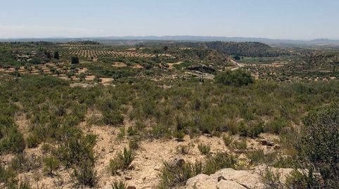 Foto 4 de Finca rústica en venta en Alcañiz, Teruel