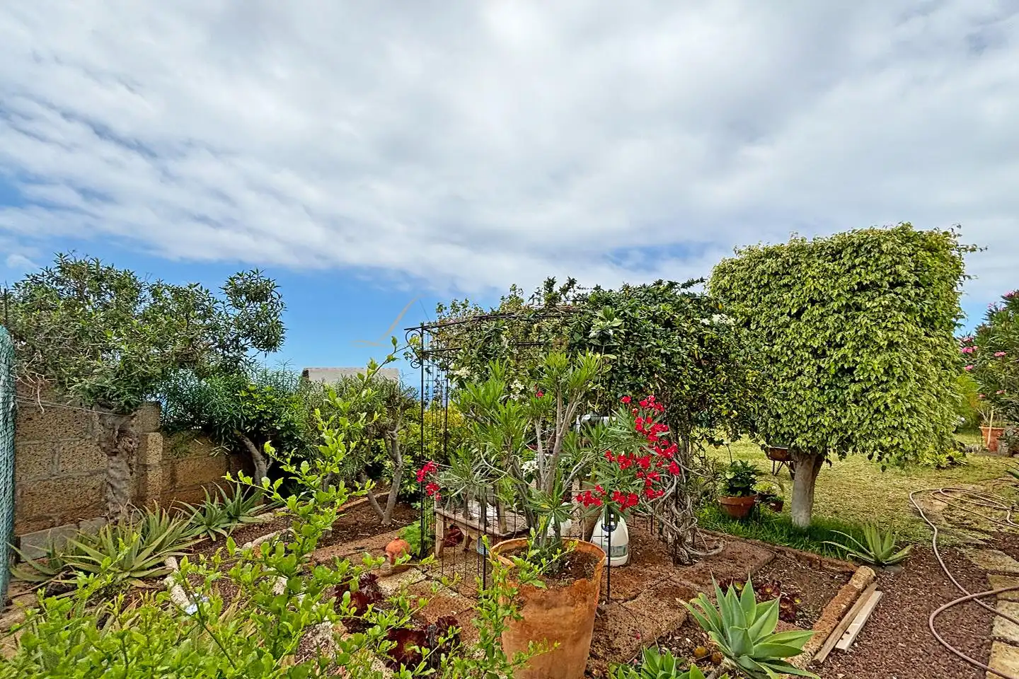 Maison avec jardin à vendre à Las Cancelas, imagen 35