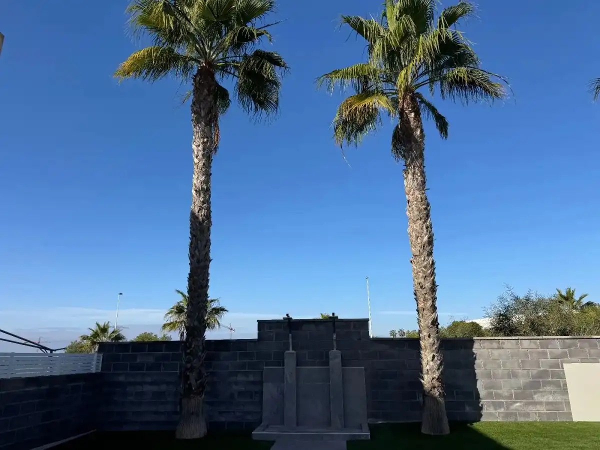 Vista exterior de Casa adosada en venta en Torrevieja con Aire acondicionado, Jardín privado y Amueblado