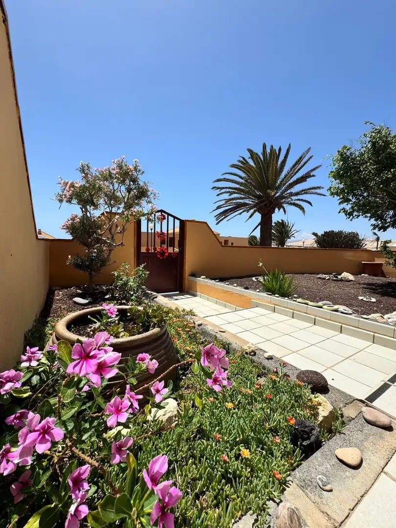 Jardín de Apartamento de alquiler en Costa Calma