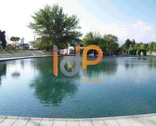 Swimming pool of Residential for sale in Lúcar