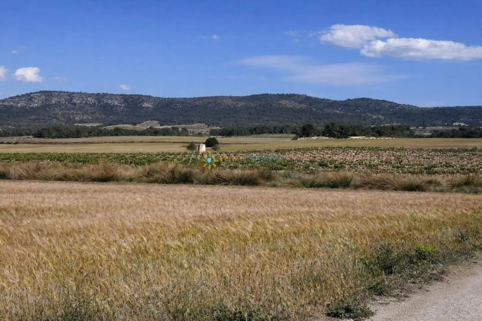 Finca rústica en venda en Villena amb Jardí privat i Traster