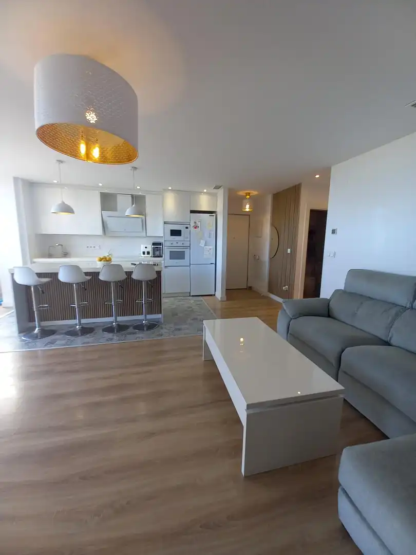 Living room of Attic for sale in Elche / Elx  with Air Conditioner, Private garden and Terrace