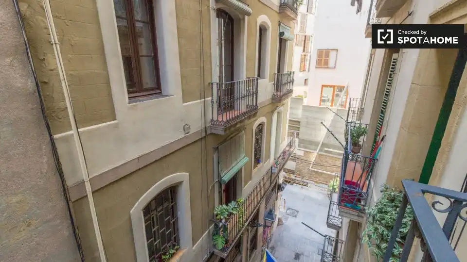 Appartamento con terrazza in affitto a Ciutat Vella, imagen 18