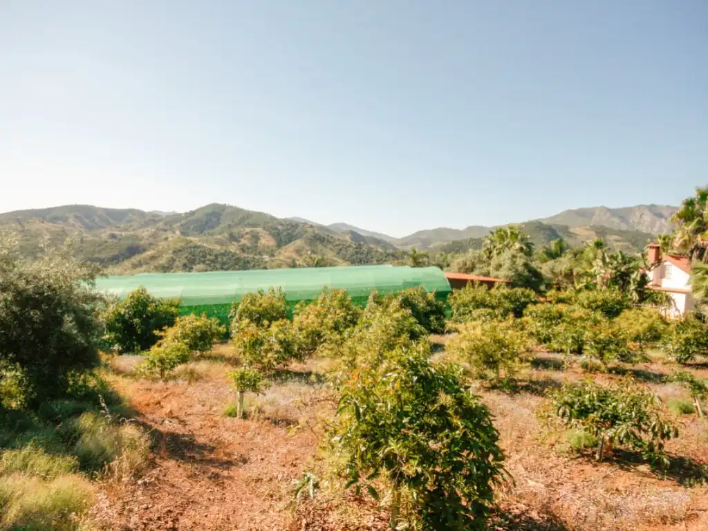 Garden of Houses for sale in Monda