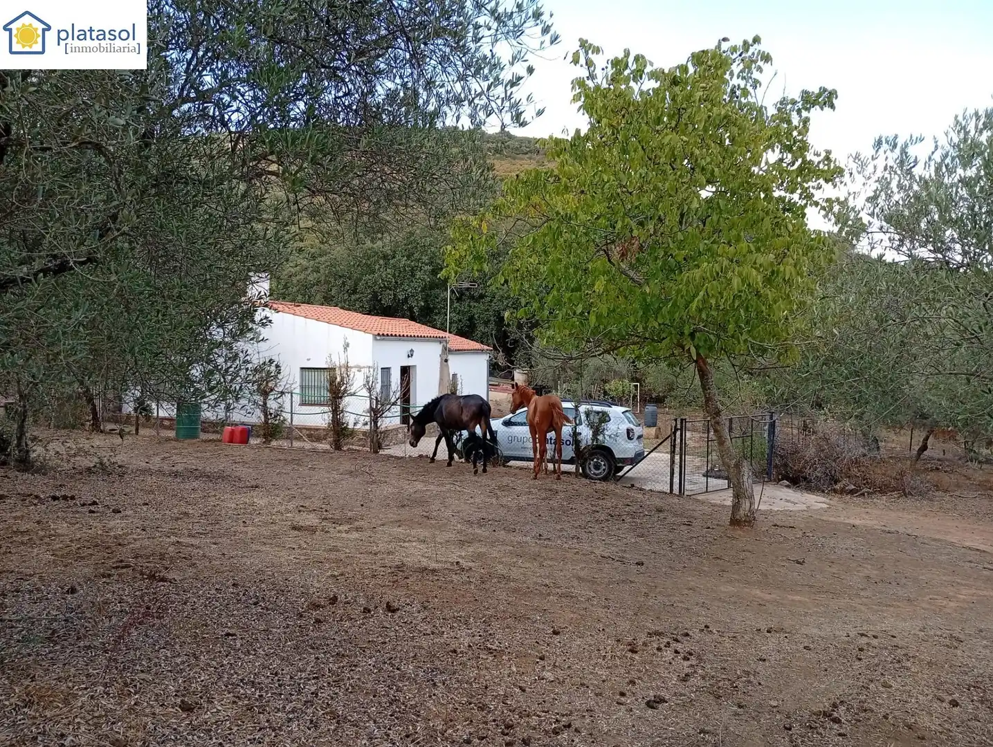 Maison rustique avec jardin à vendre à DISEMINADOS
