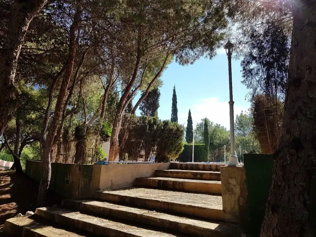 Vista exterior de Casa o xalet en venda en Elche / Elx amb Jardí privat, Terrassa i Piscina