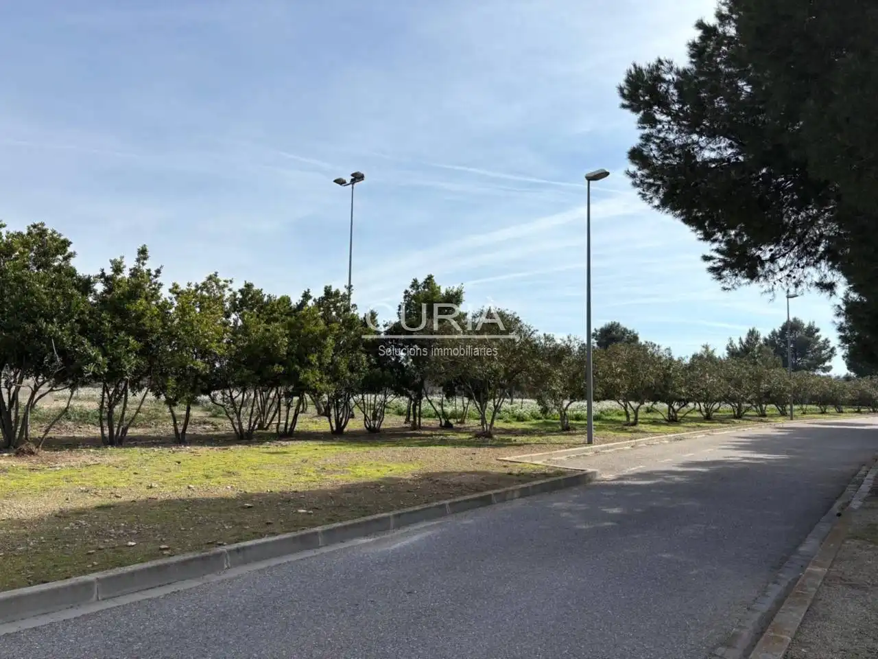 Residencial en venda a Calle Golf Raimat, 2, Raïmat