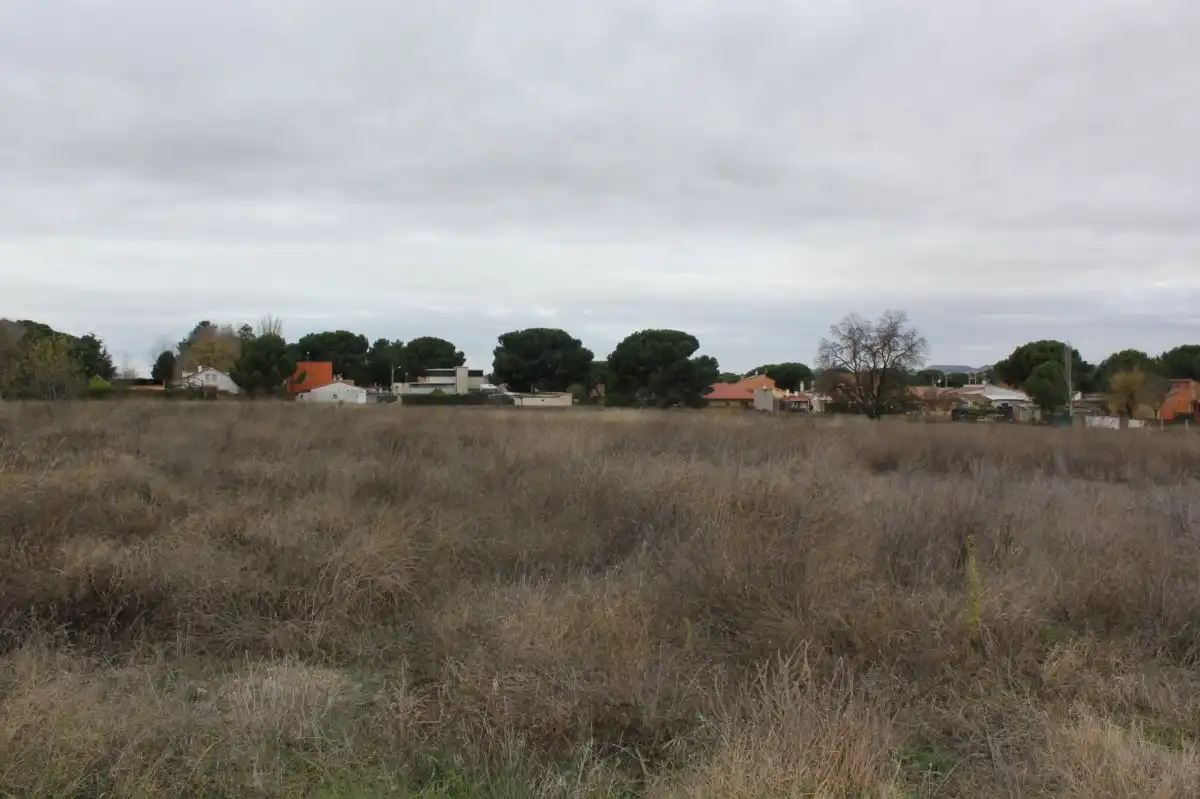 Terreno residenziale in vendita a Quinojal, imagen 4