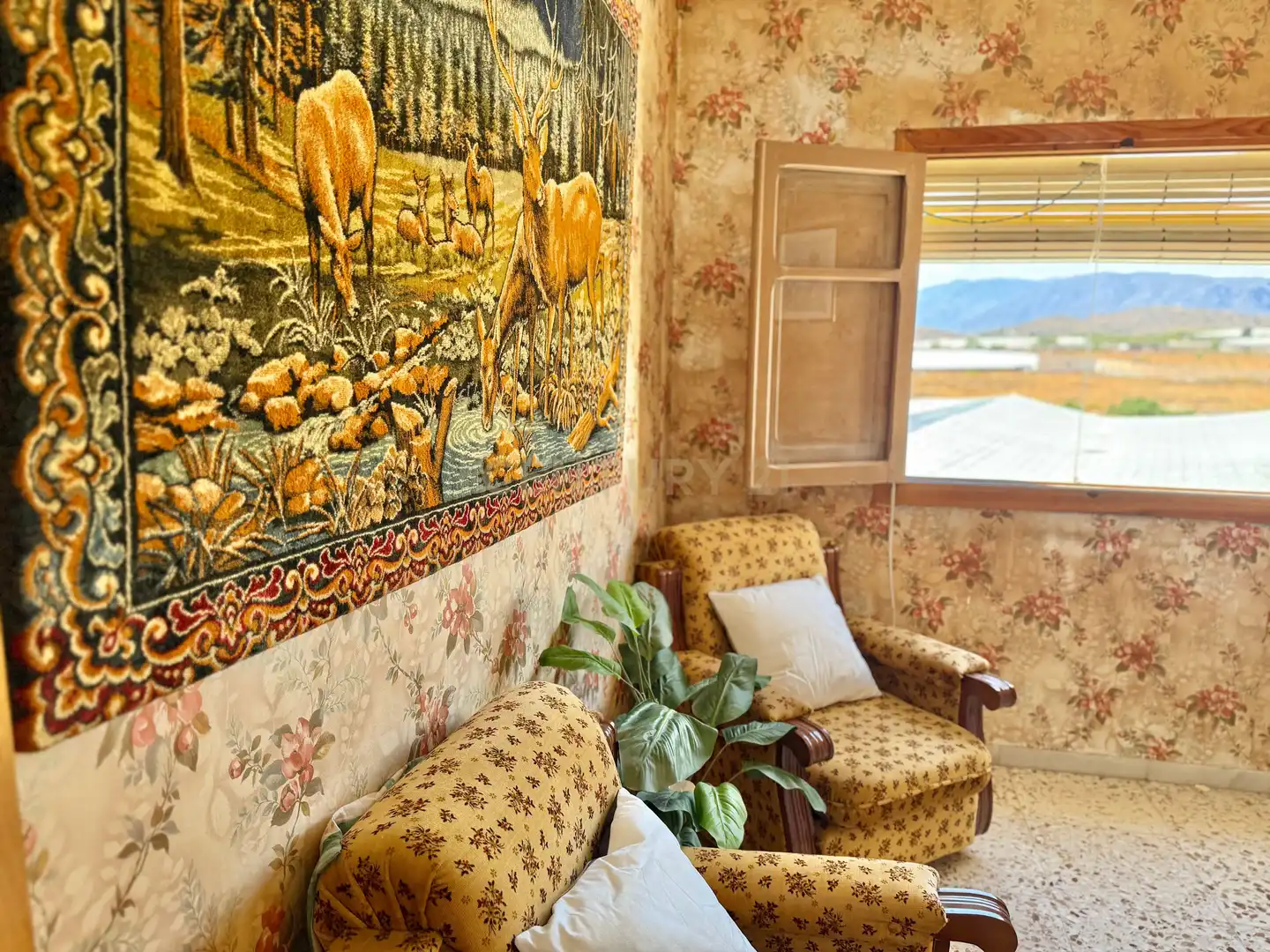 Casa o xalet en venda a Berja