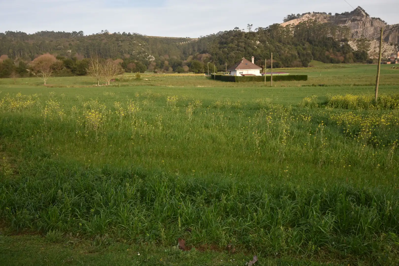 Terreni e lotti in vendita a Arce, imagen 5