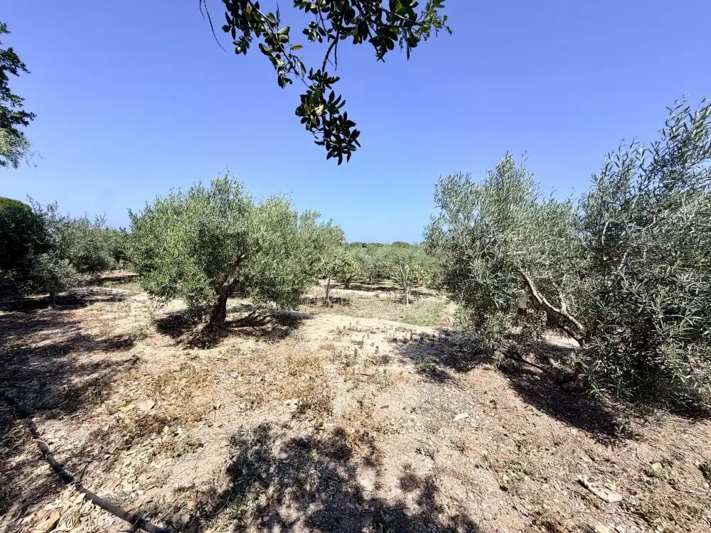 Maison rustique à vendre à La Marina, imagen 7