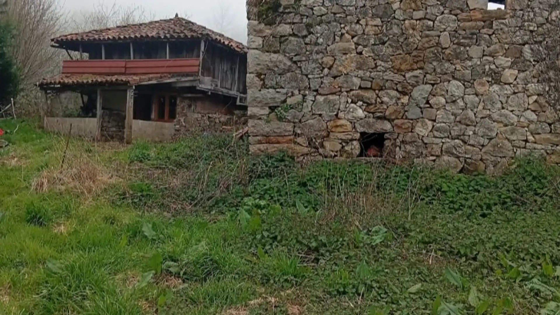 Land for sale in Belmonte de Miranda