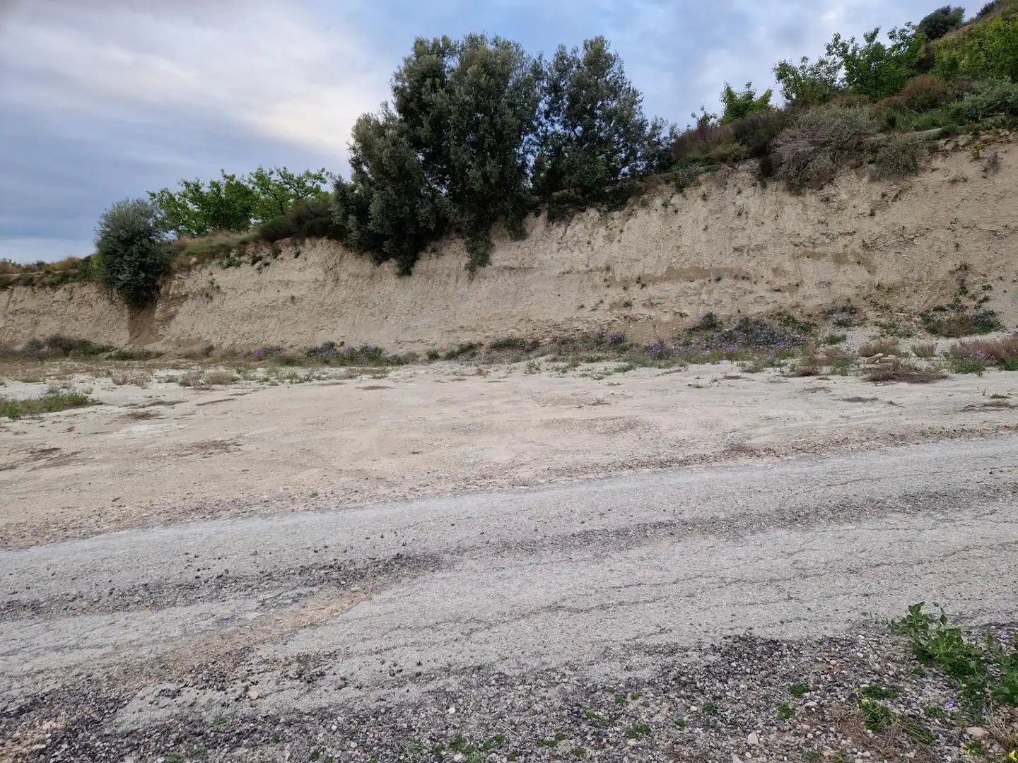 Land for sale in Villanueva del Río Segura