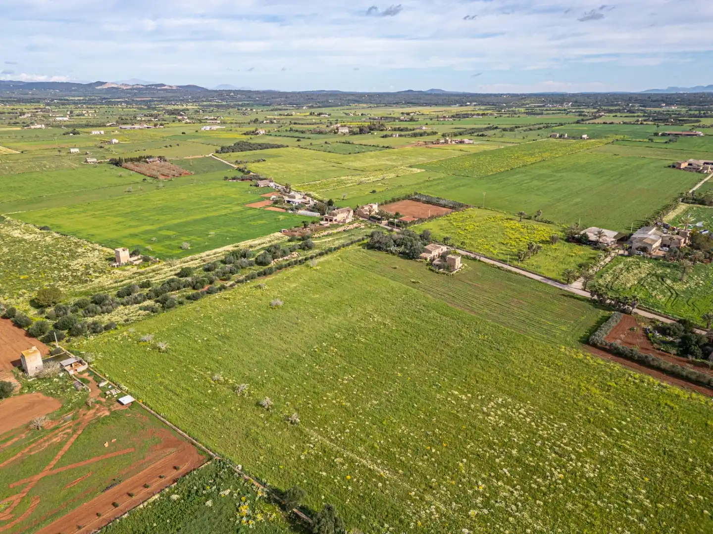 Rustikales Grundstück zum Verkauf in Campos poble, imagen 28