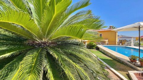 Photo 2 of Houses for sale in Manantiales - Lagar - Cortijo, Alhaurín de la Torre