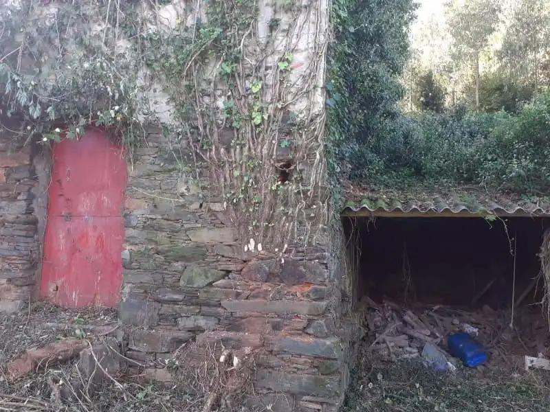 Vista exterior de Finca rústica en venta en Cedeira con Jardín privado