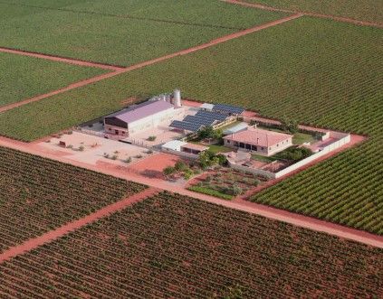 Edifici en venda a Tomelloso