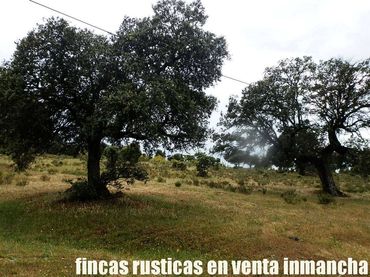 Terreno rustico in vendita a Casco Antiguo