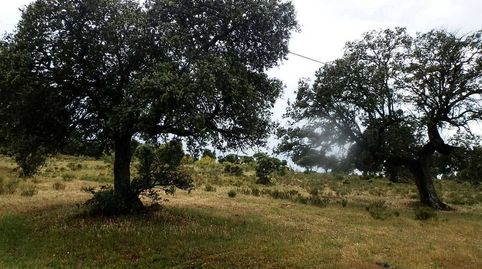 finca en venta ganadera recreo en Toledo