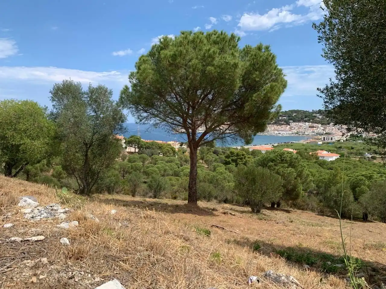 Residential land for sale in GIV-6121, imagen 10