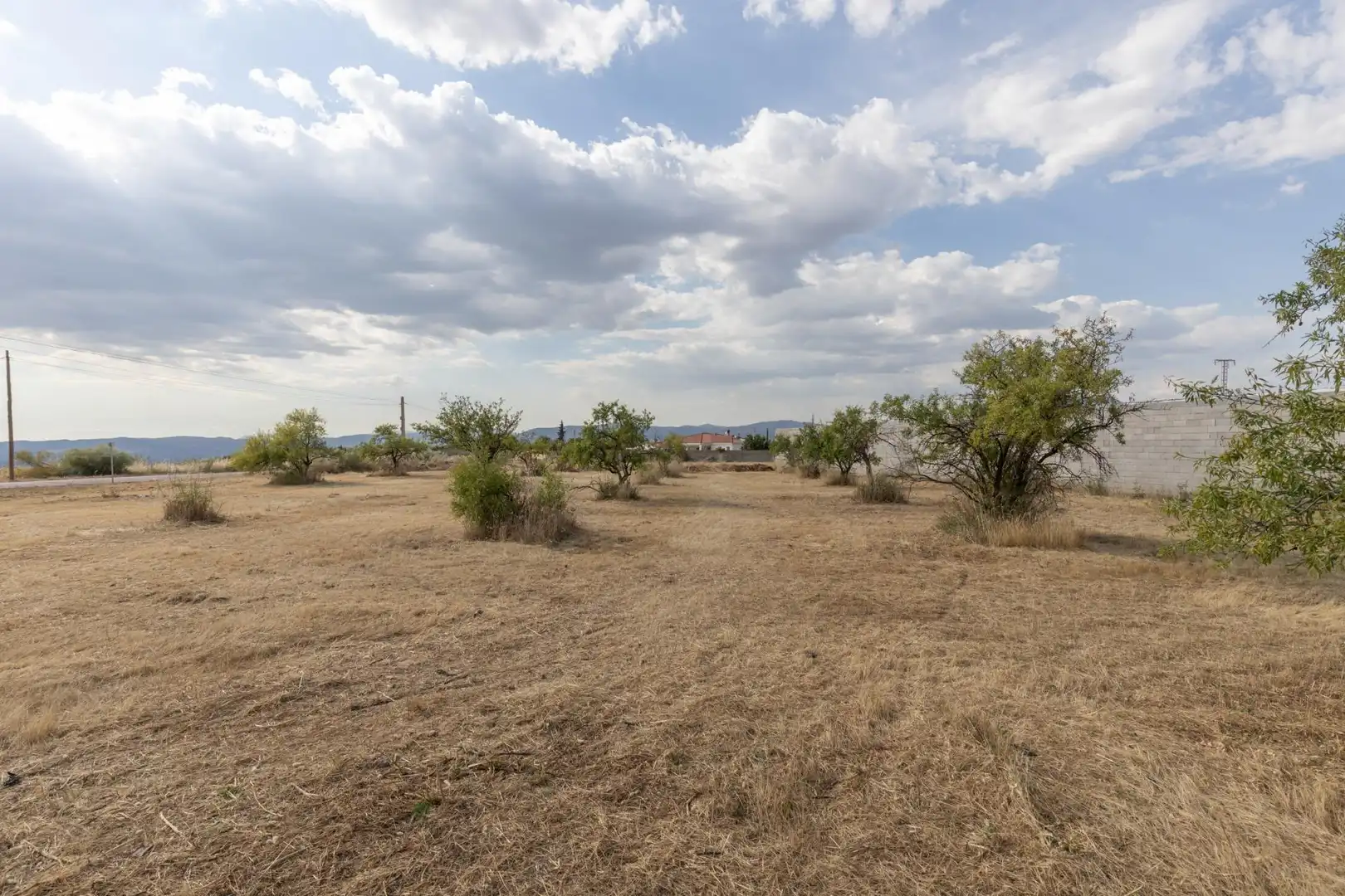 Rural land for sale in Polígono 10 Parcela 308 RIEGOS DE MORALEDA. MORAL, imagen 16