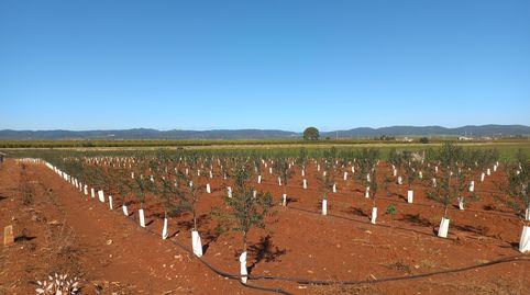 Photo 2 of Land for sale in Lora del Río, Sevilla