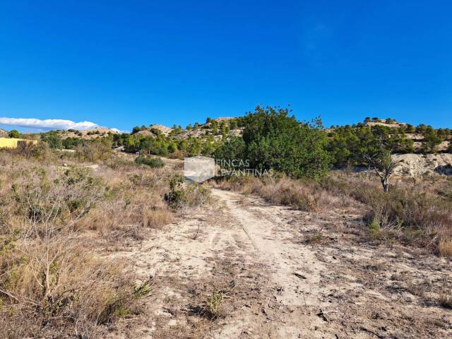 Terreno residencial en Venta en Cañada del Fenollar
