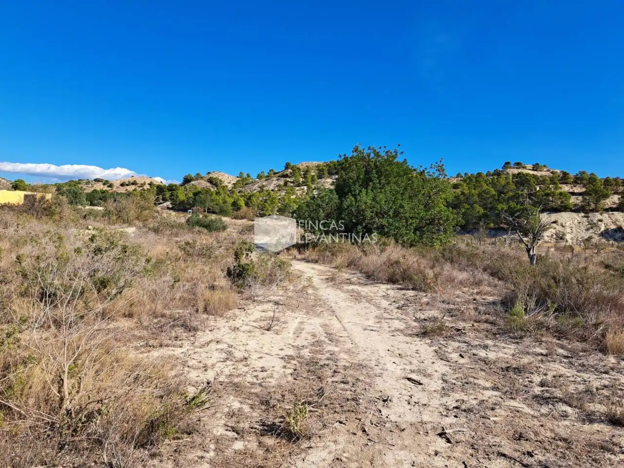 Terreny residencial en venda a Partidas de Alicante