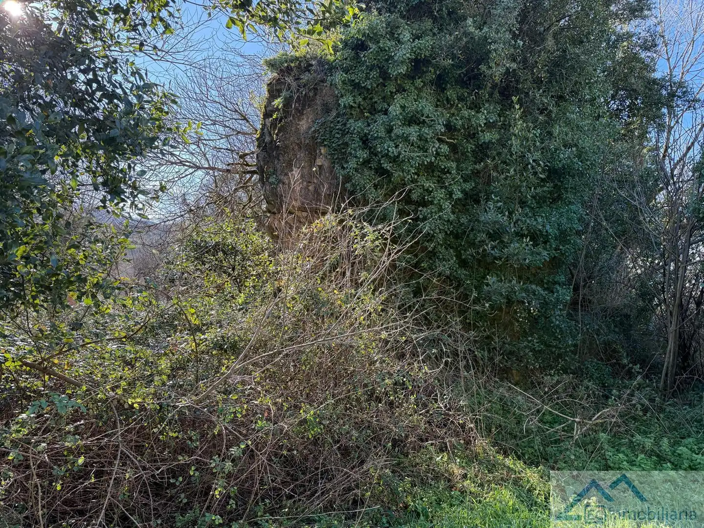 Casa o chalet en venta en Riotuerto