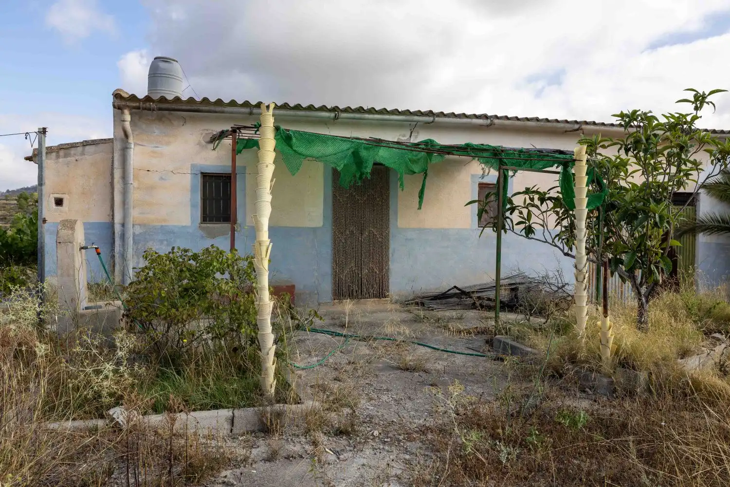 Vista exterior de Finca rústica en venta en Mula