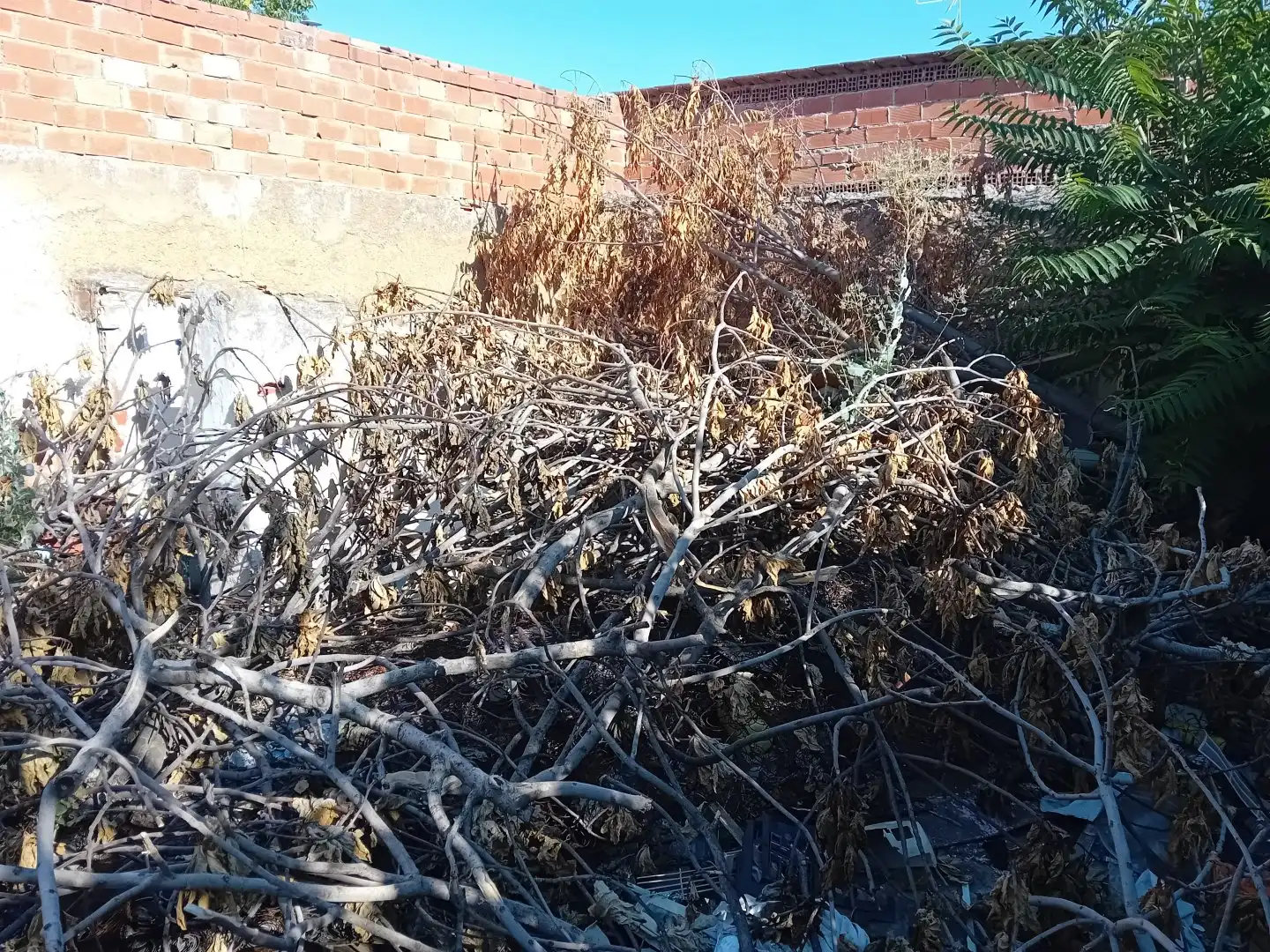 Terrenos y solares en venta en Torralba de Calatrava, imagen 7