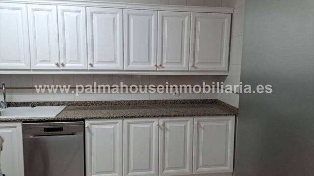 Ático en Alquiler en Arxiduc