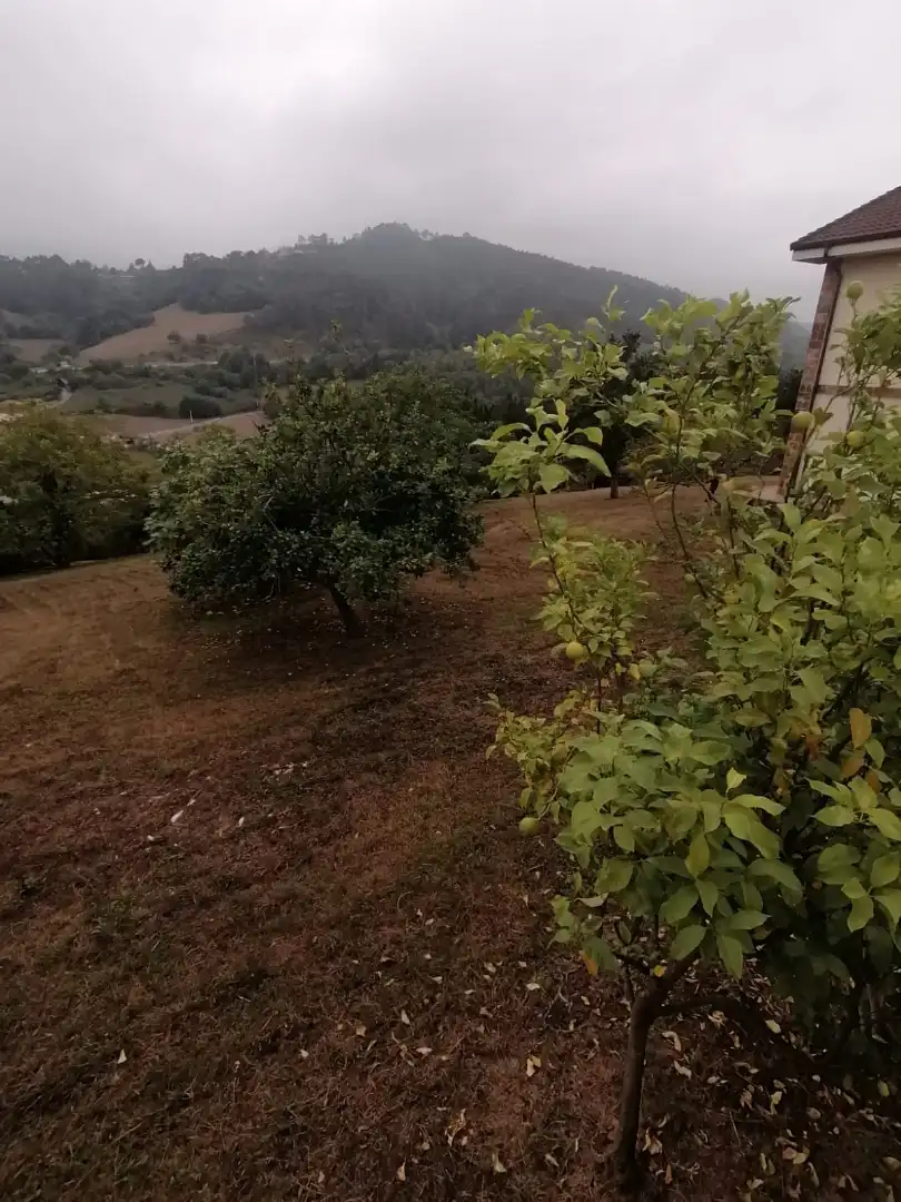 Haus zum Verkauf in Rural, imagen 57