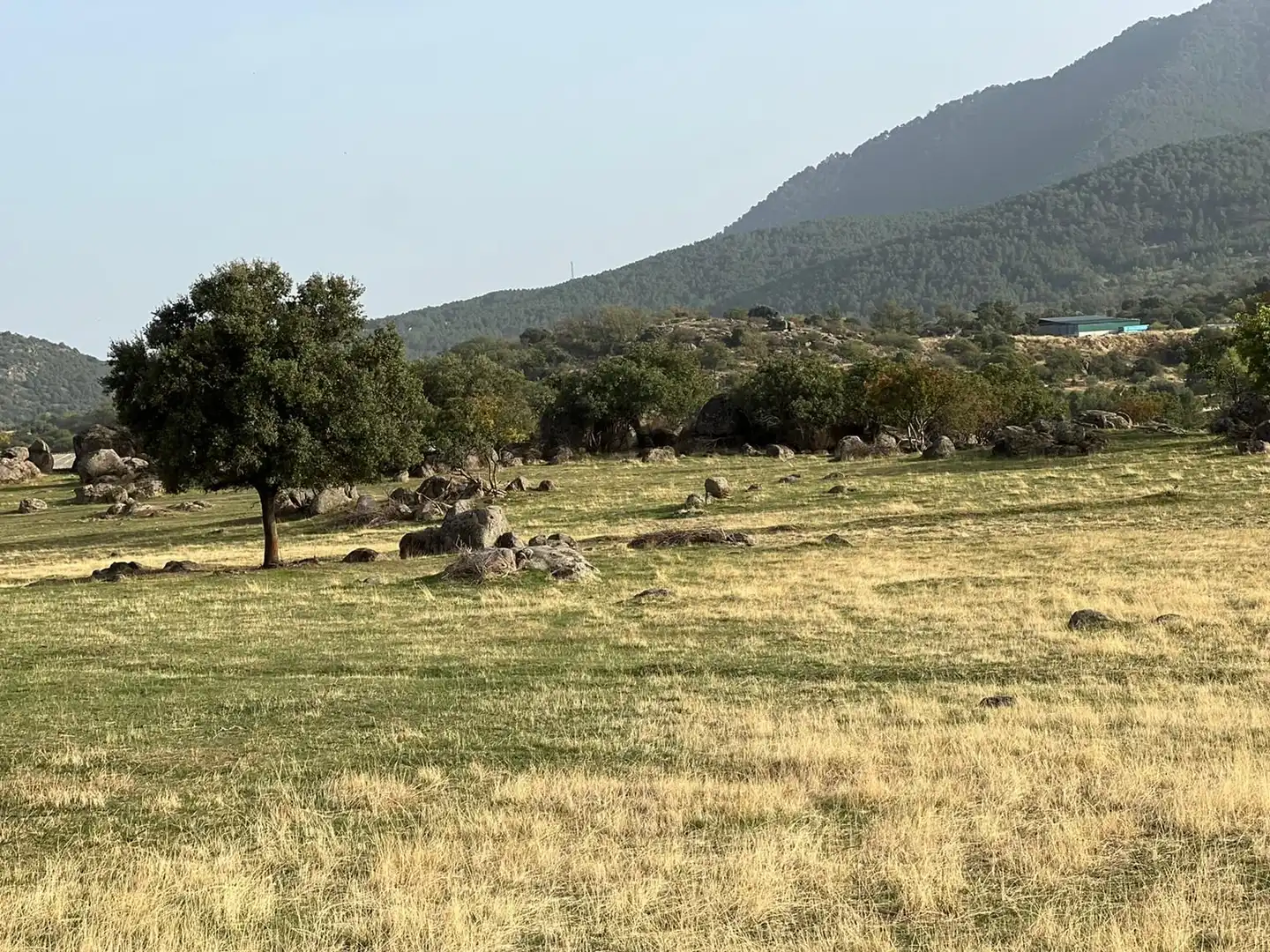 Terreni e lotti in vendita a El Tiemblo, imagen 11