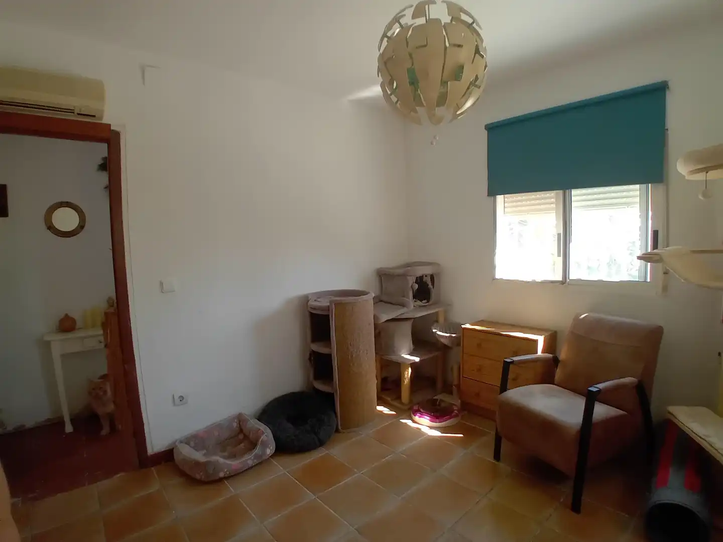 Villa avec piscine à vendre à Turís, imagen 26