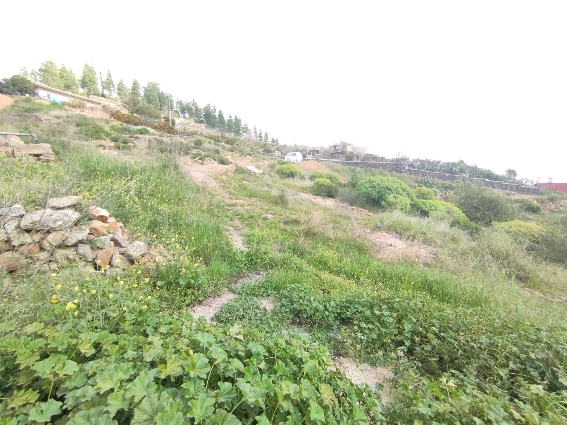 Residencial en venta en Vilaflor de Chasna