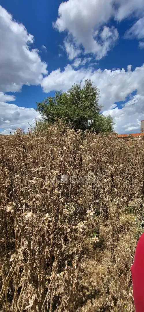 Lands and plots for sale in Extrarradio, imagen 2