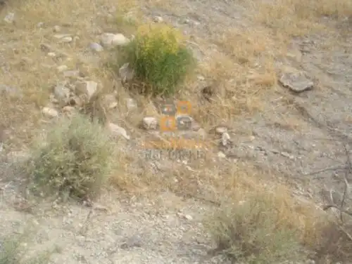 Terreno residencial en venta en Huércal-Overa, imagen 3