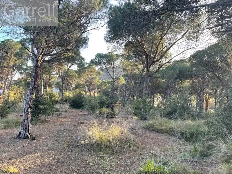 Lands and plots for sale in PL SECTOR INDUSTRIAL C.N. II Polígono  Parcela  AMPLIACIO SECTOR 
JUNTO A CARRETERA N.  PALAFOLLS [BARCELONA], imagen 11