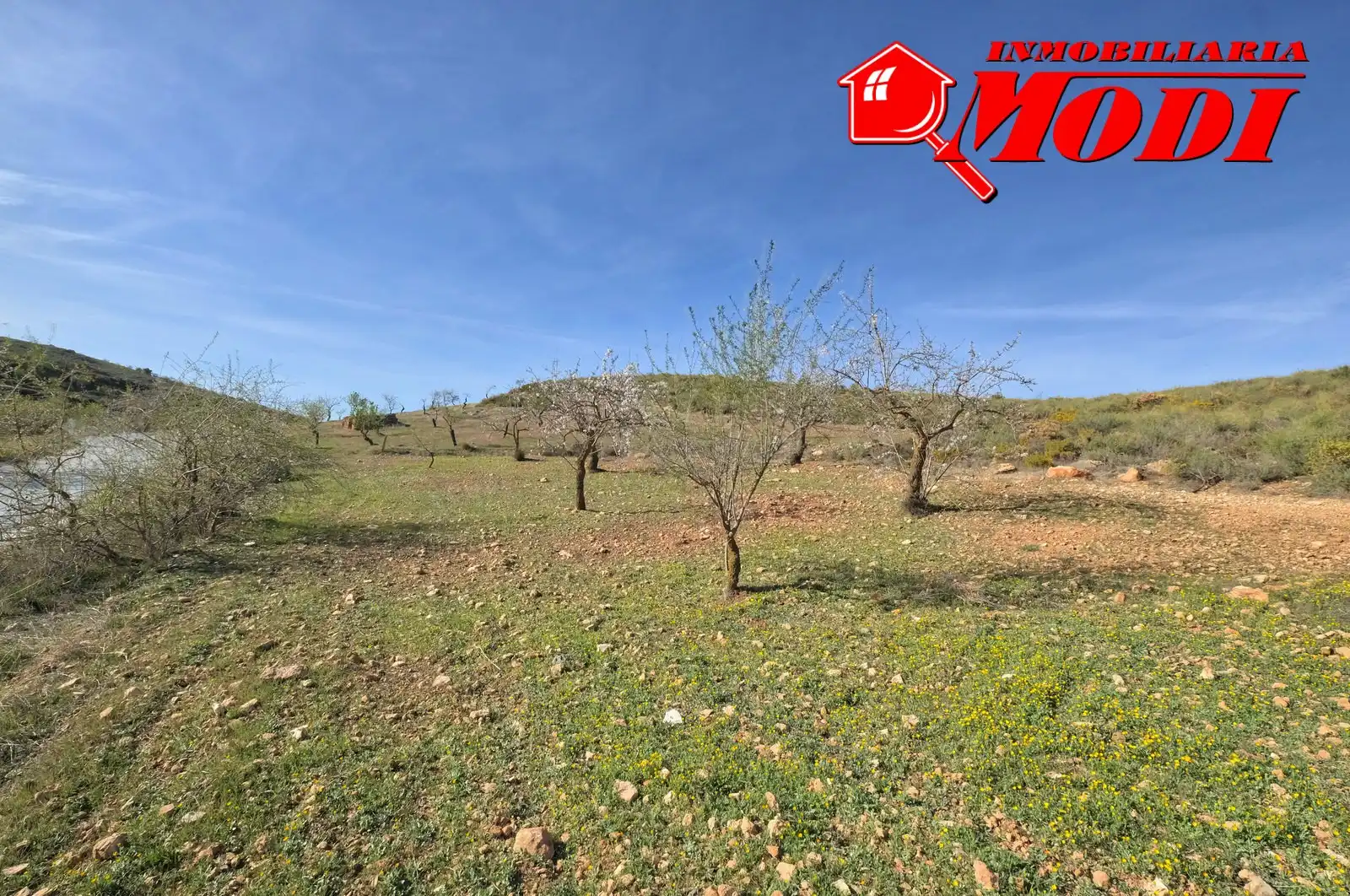 Terreni e lotti in vendita a El Valle, imagen 14