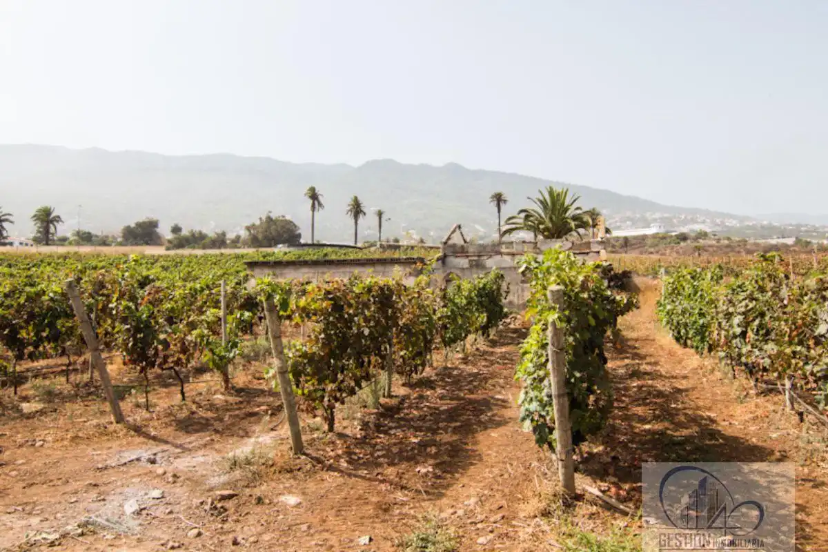 Vista exterior de Finca rústica en venda en Santa Úrsula amb Terrassa i Balcó