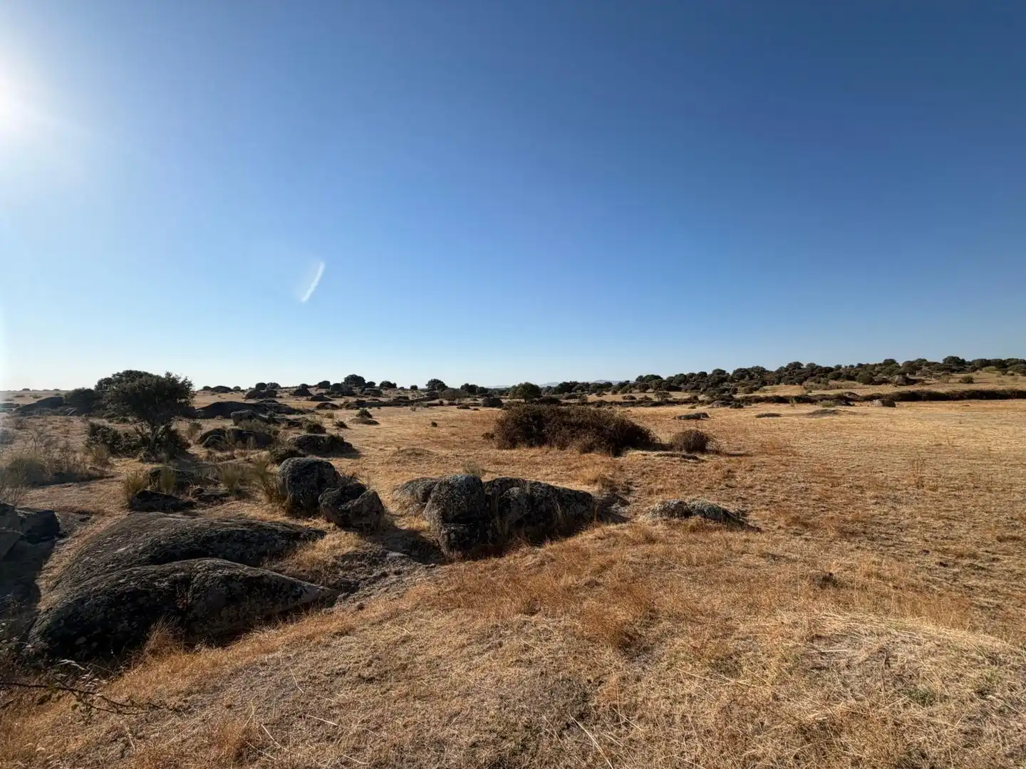 Terreno rustico in vendita a Malpartida de Cáceres, imagen 4